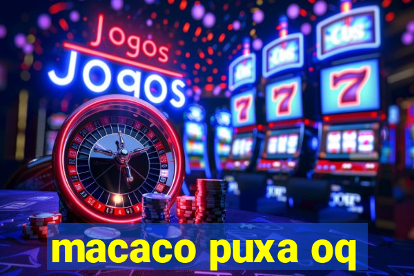 macaco puxa oq